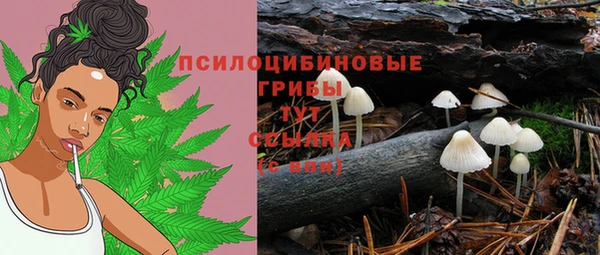 мескалин Медногорск
