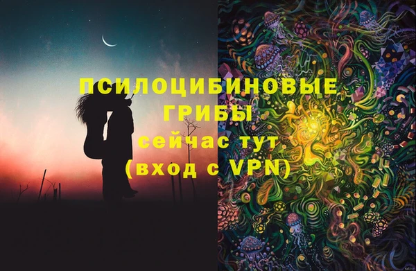 ПСИЛОЦИБИНОВЫЕ ГРИБЫ Медвежьегорск