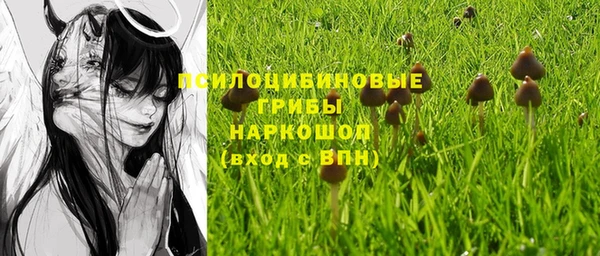 ПСИЛОЦИБИНОВЫЕ ГРИБЫ Медвежьегорск