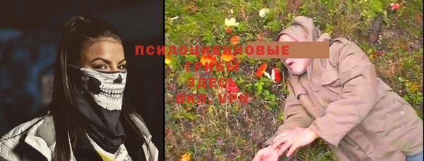 ПСИЛОЦИБИНОВЫЕ ГРИБЫ Медвежьегорск