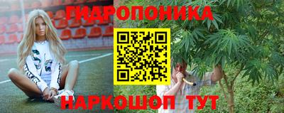 прущие крисы Аргун