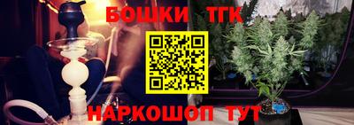 прущие крисы Аргун